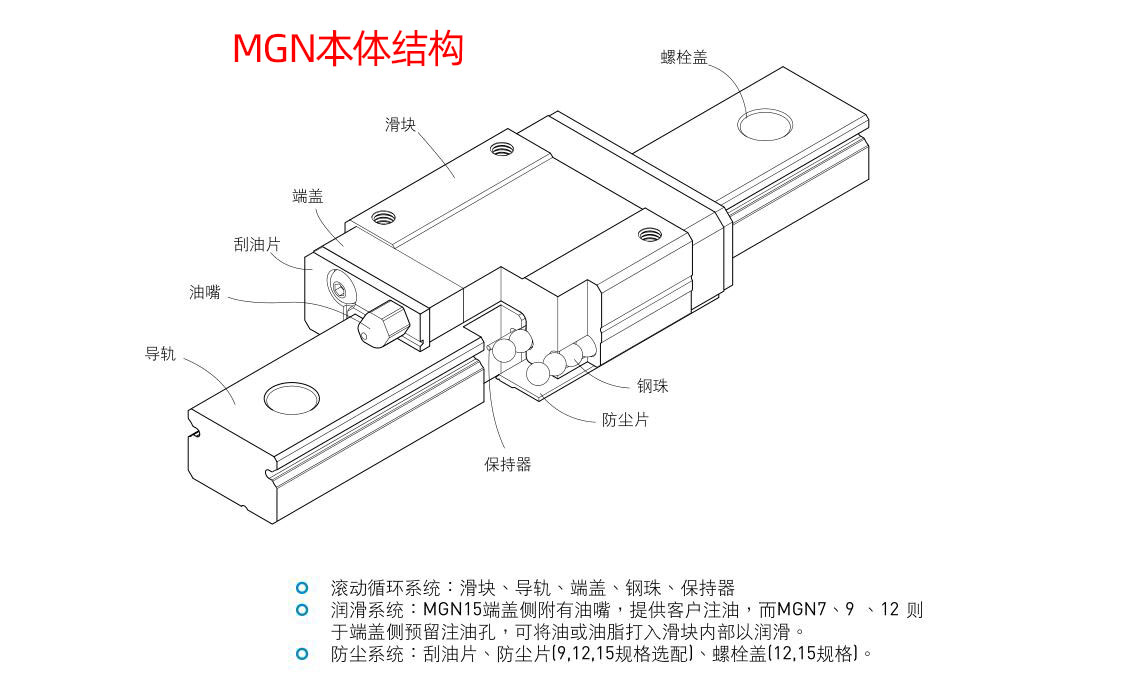 参数-MGN-结构.jpg